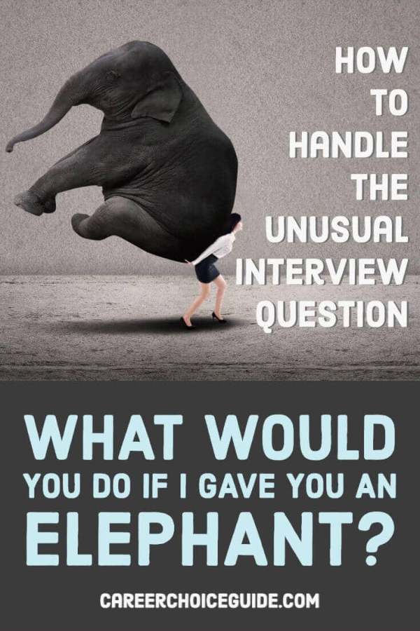 Businesswoman carrying an elephant. Text overlay - How to handle the unusual interview question, What would you do if I gave you an elephant?