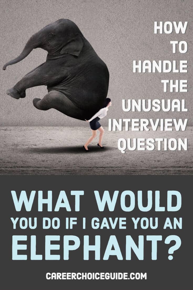 Crazy Interview Question About an Elephant